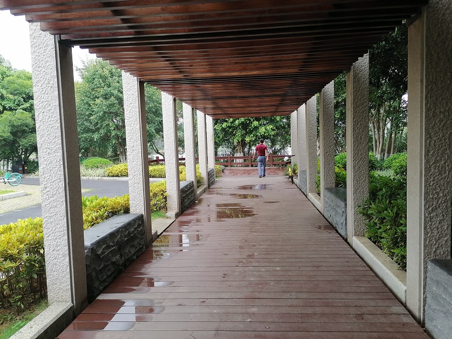 1-201005092153Y9.jpg