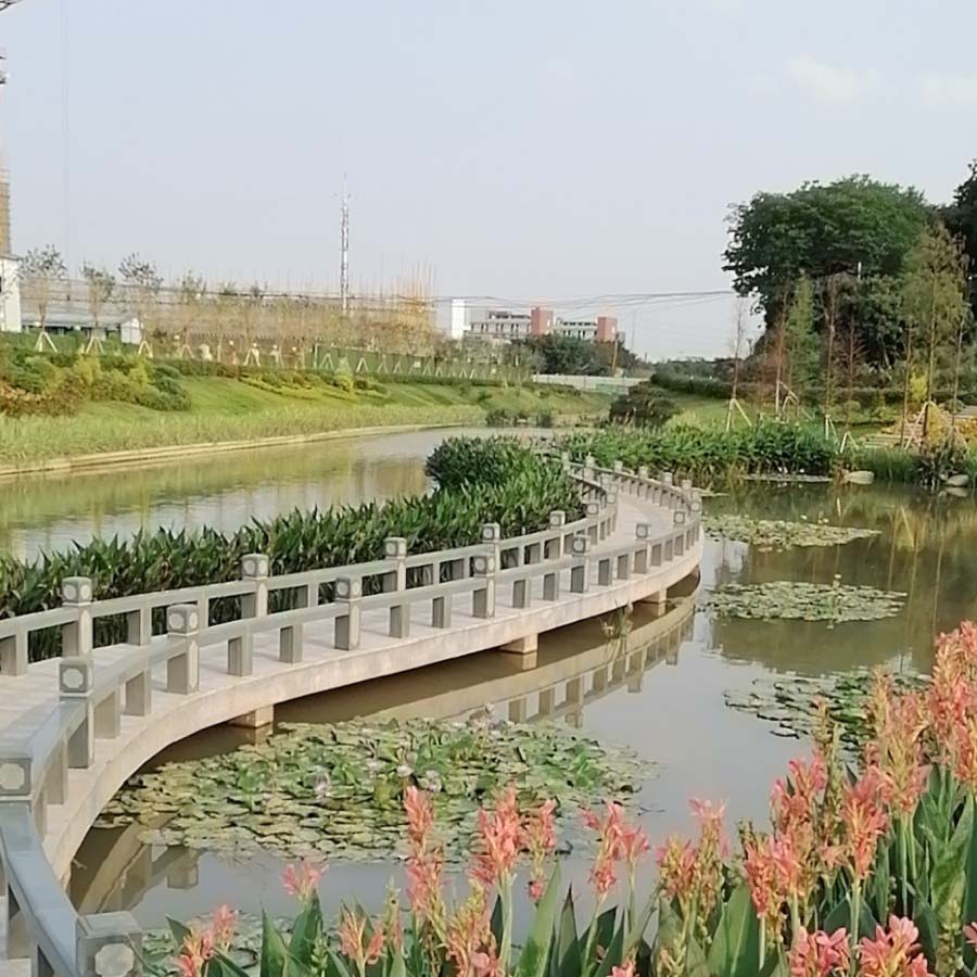 1-201005092135463.jpg