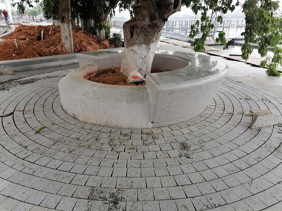 1-201005101613154.jpg