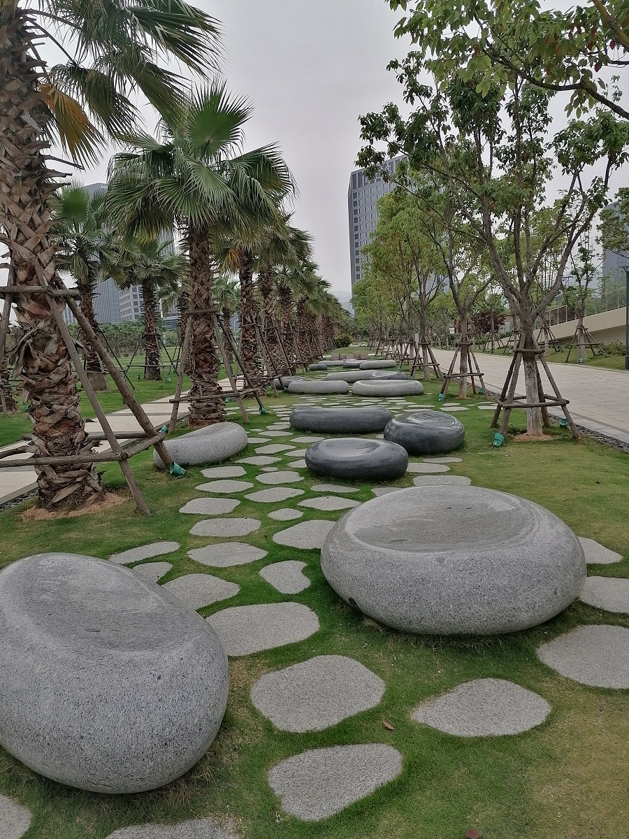 1-201005101623532.jpg