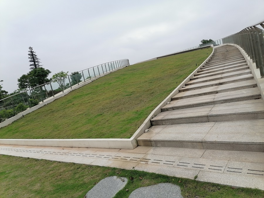 1-201005094615P7.jpg